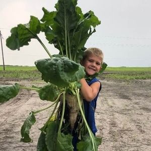 Meet your Posher, Stacy